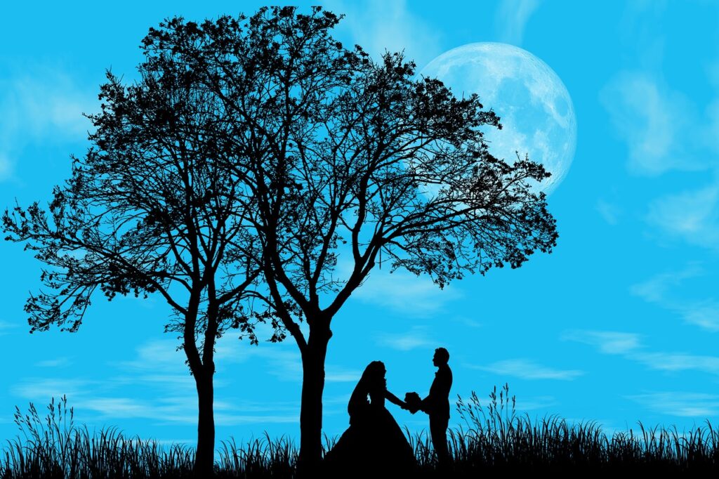 love, romantic, feelings, romance, couple, relationship, affection, together, pair, boyfriends